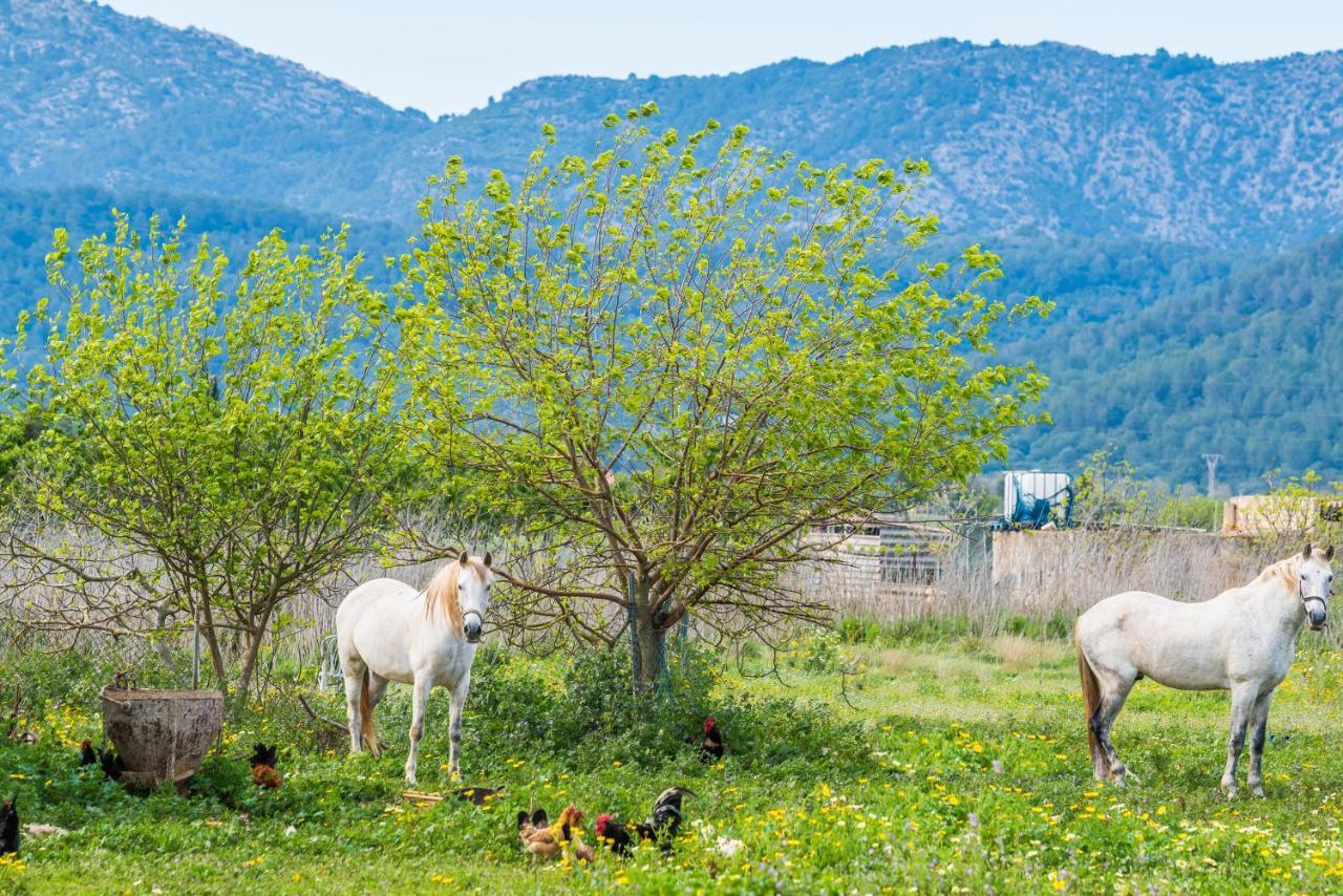 サ・ポブラ Traumhafte Finca Son Senyor - Mit Pferdekoppelヴィラ エクステリア 写真